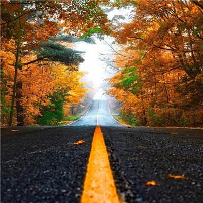 PG·麻将胡了app下载